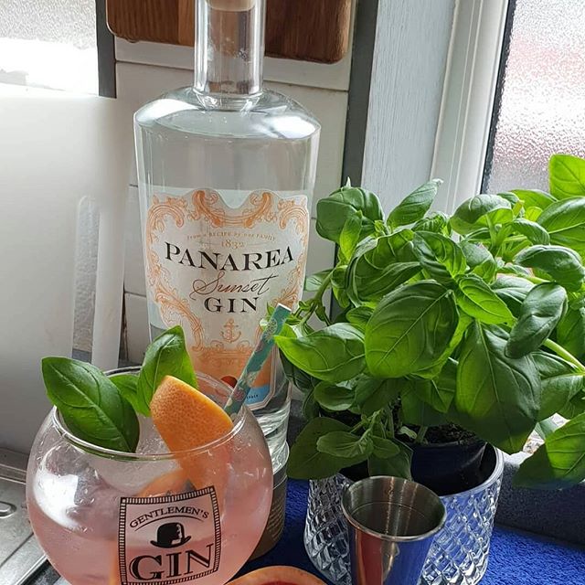 come scegliere un buon gin