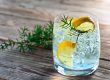 gin per cocktail