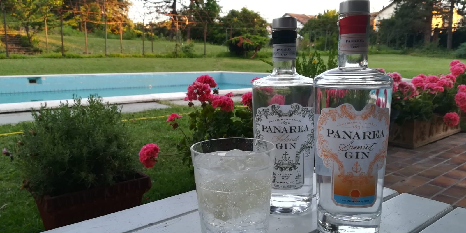 botanicals gin botanicals gin Panarea Gin